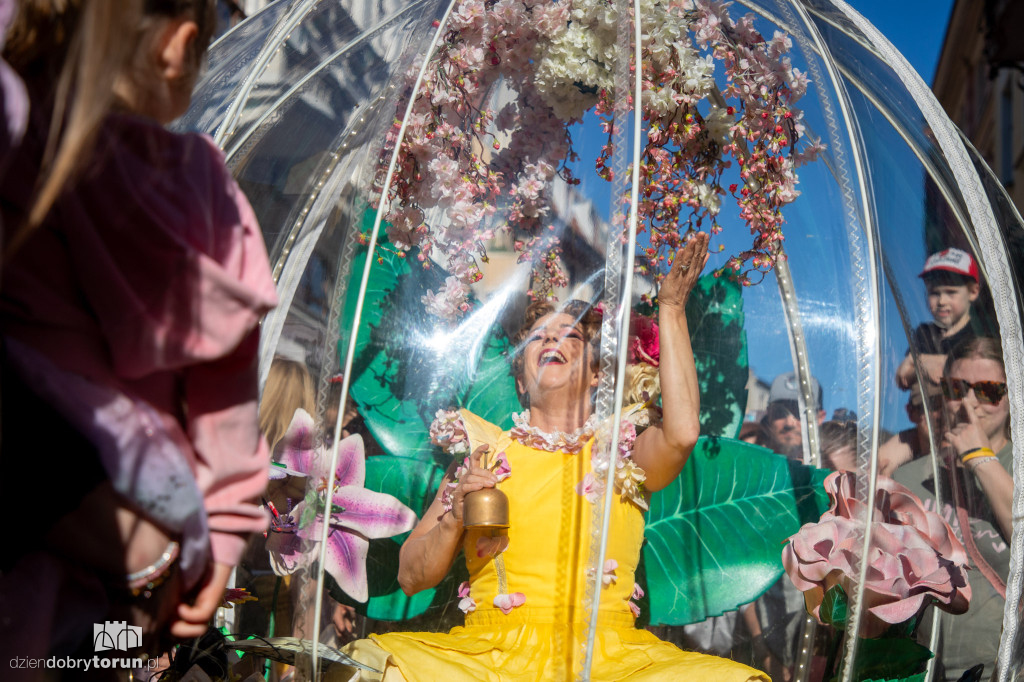 Teatry Uliczne - Enchanted Flower Globe