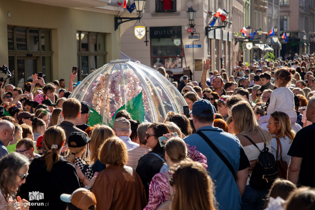 Teatry Uliczne - Enchanted Flower Globe