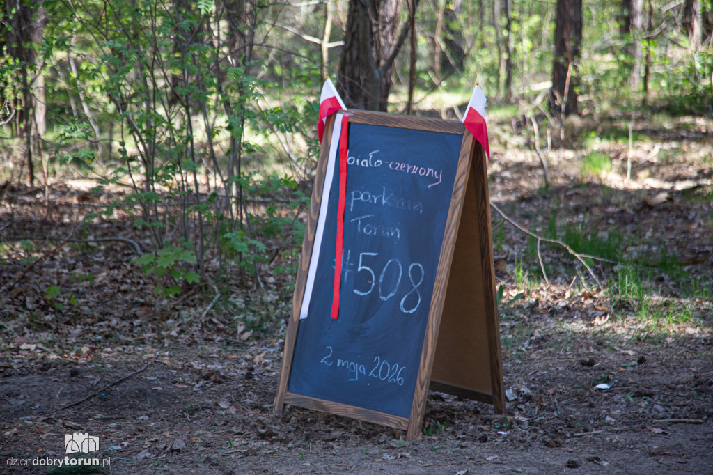Parkrun patriotycznie - bieg z flagami