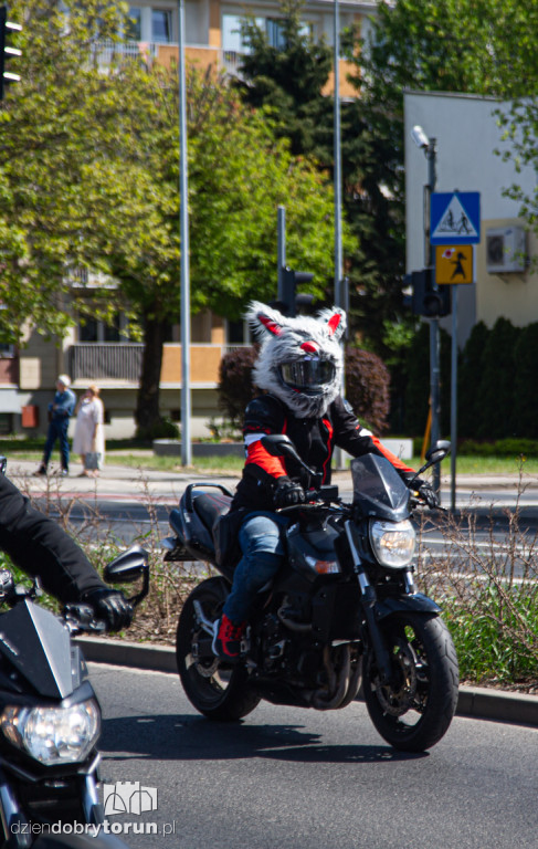 Motokonstytucja 2026 w Toruniu