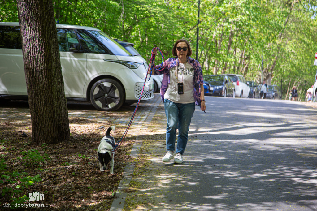 Majówkowe wyprowadzanie psów