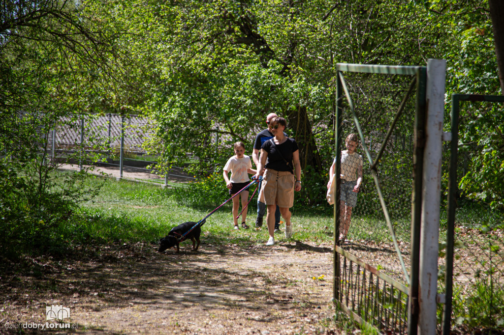 Majówkowe wyprowadzanie psów