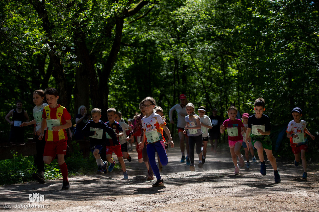 Cross Barbarka
