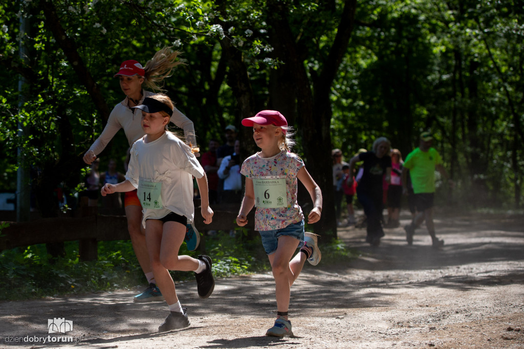 Cross Barbarka