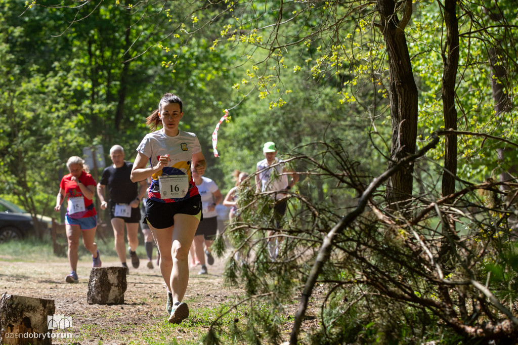 Cross Barbarka