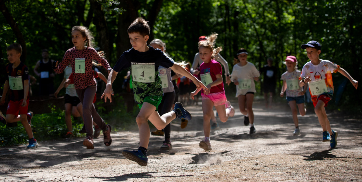 Cross Barbarka