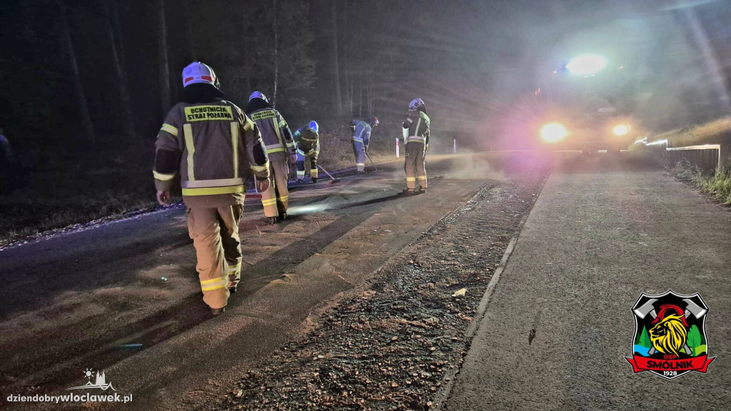 Wypadek na trasie Telążna Leśna - Dębniaki