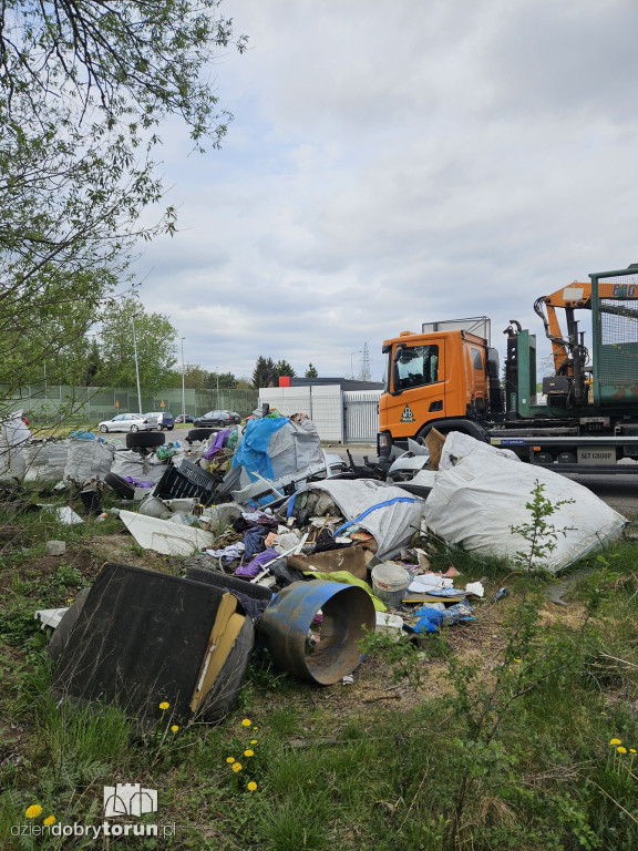 Z Torunia zniknęło ponad 10 ton śmieci
