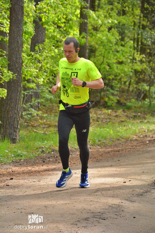 510 Parkrun w Toruniu