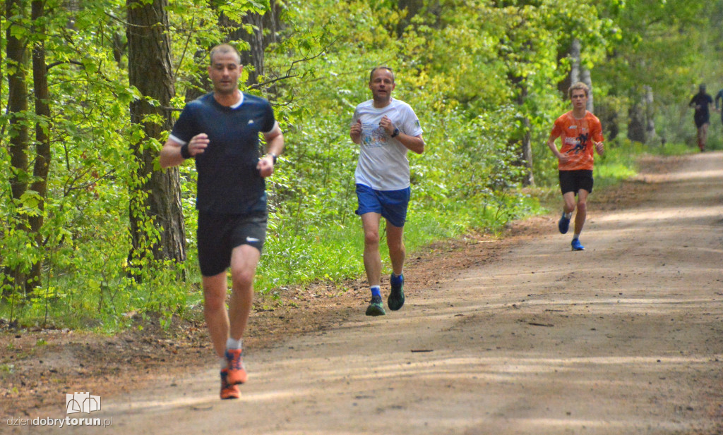 510 Parkrun w Toruniu