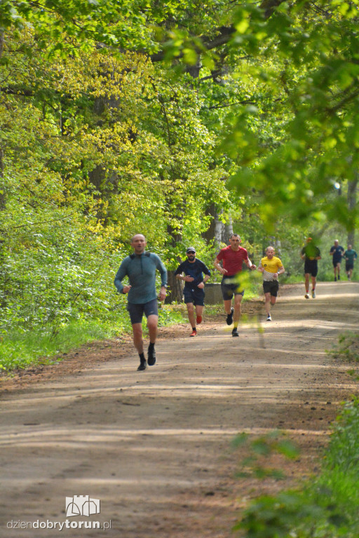 510 Parkrun w Toruniu