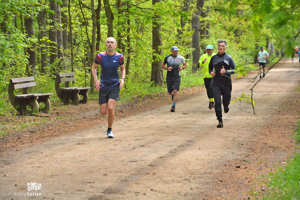 510 Parkrun w Toruniu