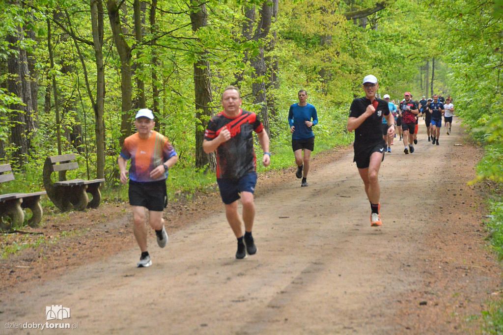 510 Parkrun w Toruniu