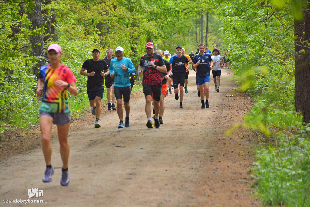 510 Parkrun w Toruniu