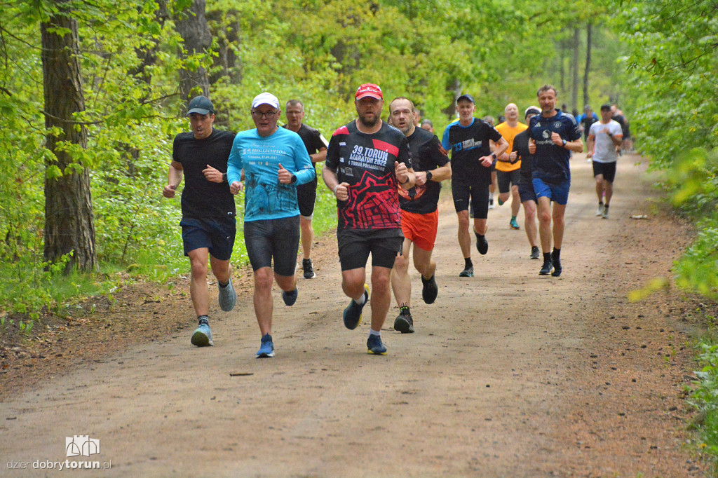 510 Parkrun w Toruniu