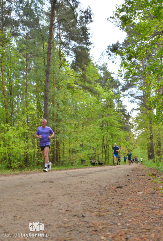 510 Parkrun w Toruniu