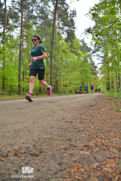 510 Parkrun w Toruniu
