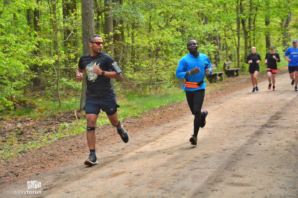 510 Parkrun w Toruniu