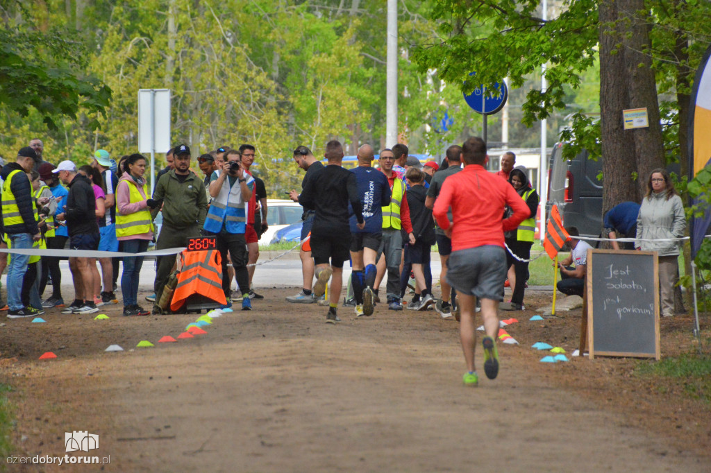 510 Parkrun w Toruniu