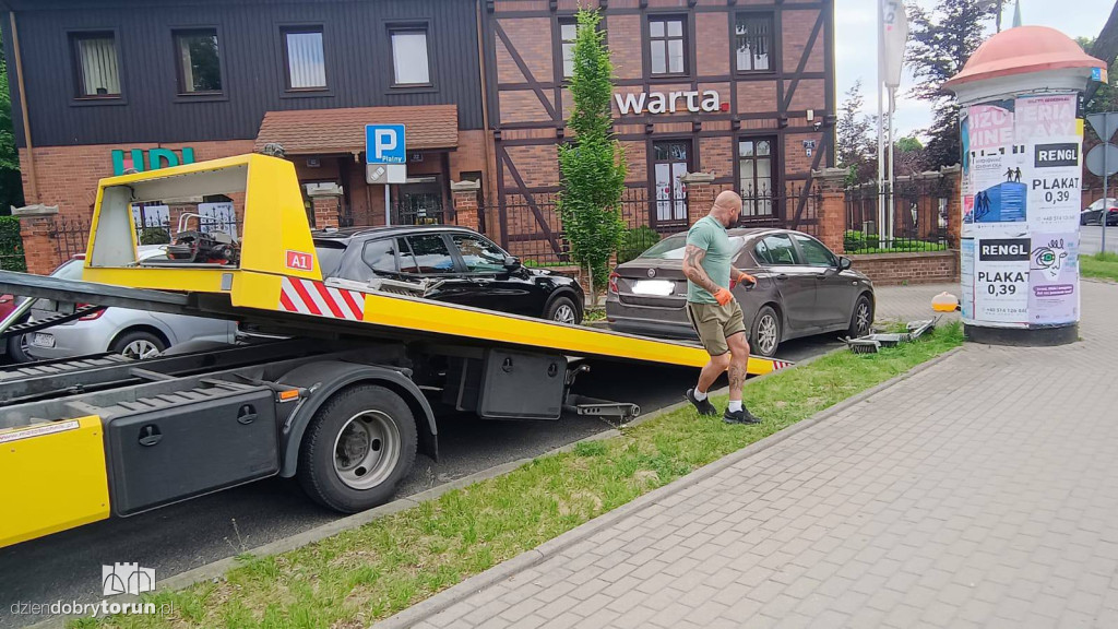 Akcja ratunkowa małych kaczek