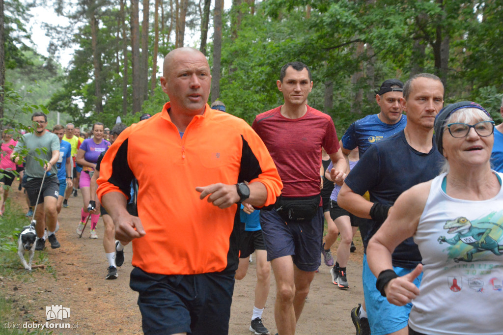 Tak wyglądał 512. parkrun w Toruniu
