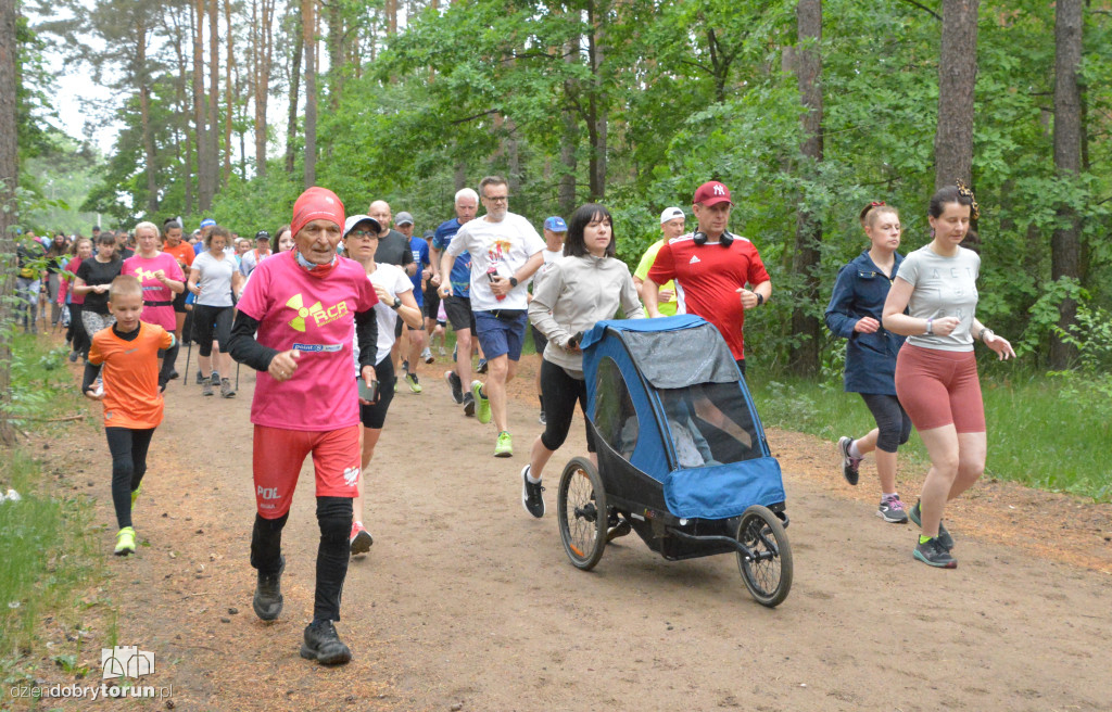 Tak wyglądał 512. parkrun w Toruniu