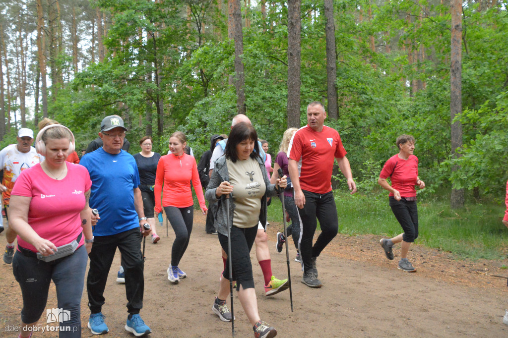 Tak wyglądał 512. parkrun w Toruniu