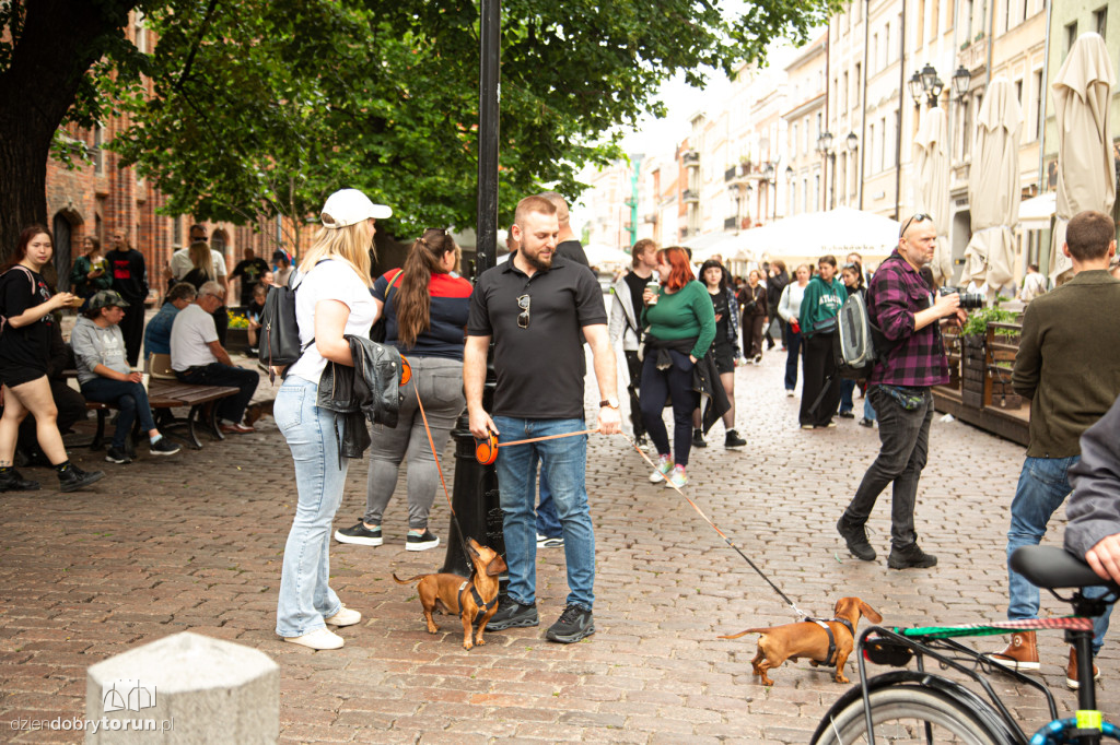 Parada Jamników ulicami Zespołu Staromiejskiego