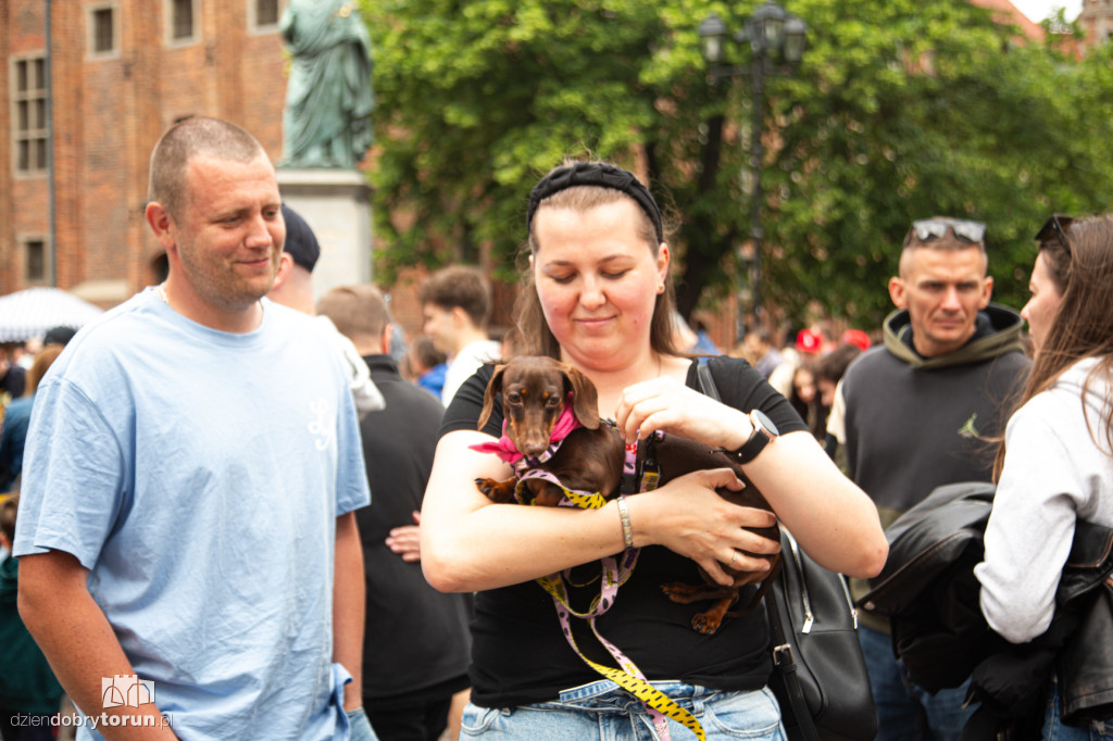 Parada Jamników ulicami Zespołu Staromiejskiego