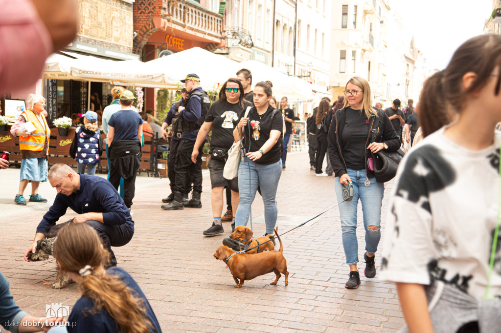 Parada Jamników ulicami Zespołu Staromiejskiego