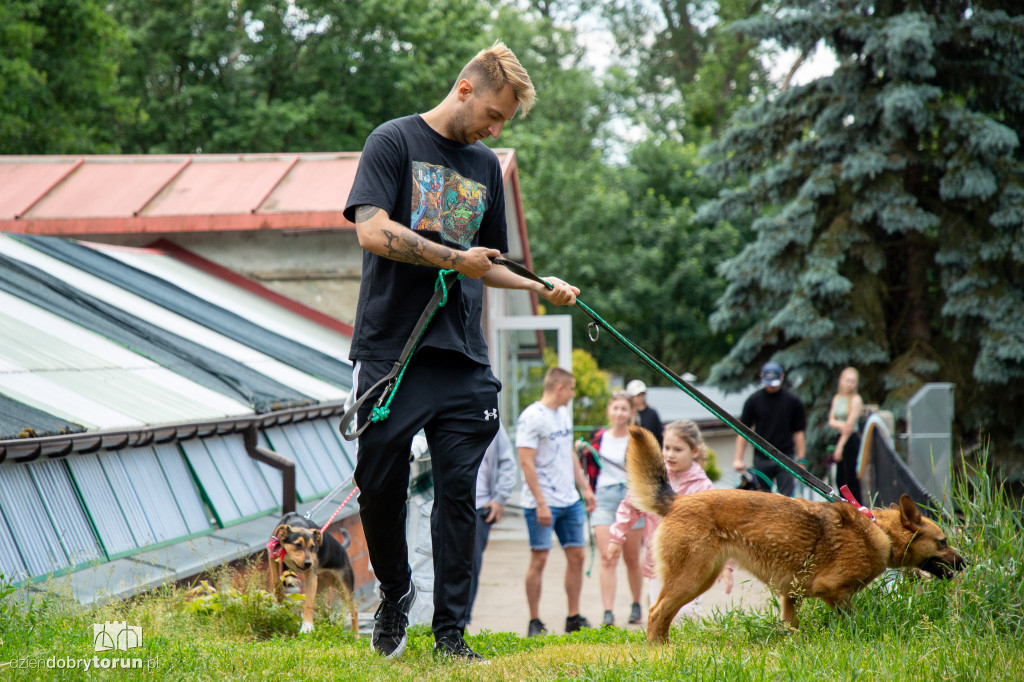 Wyprowadź psa ze schroniska
