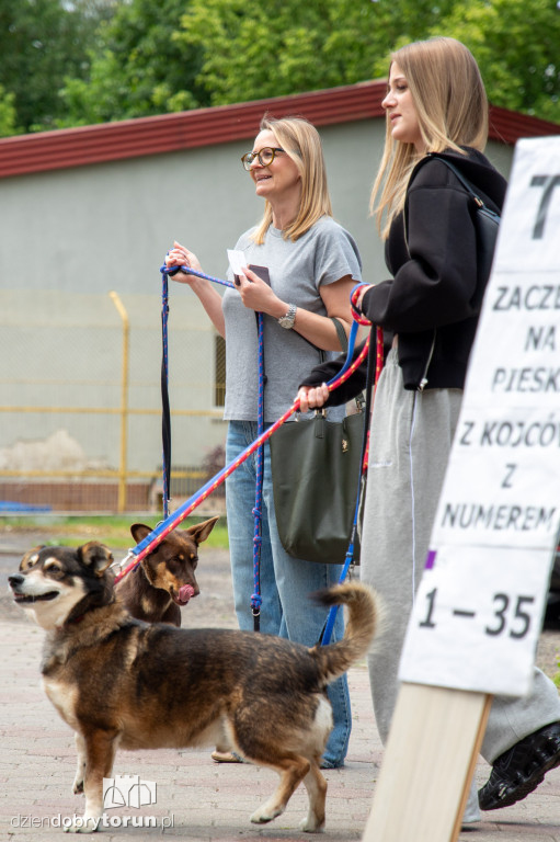 Wyprowadź psa ze schroniska