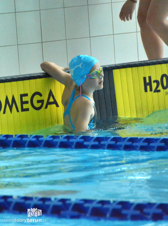 Zawody w monopłetwach w Aqua Toruń