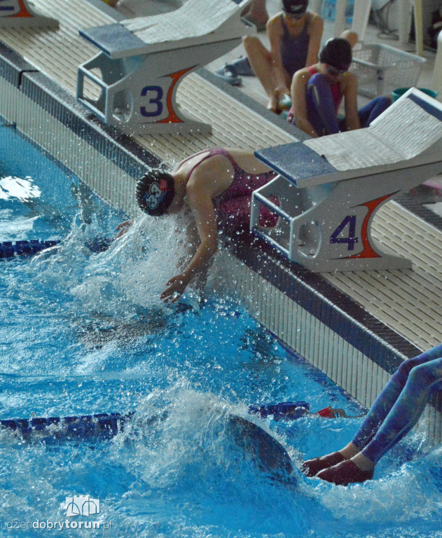 Zawody w monopłetwach w Aqua Toruń