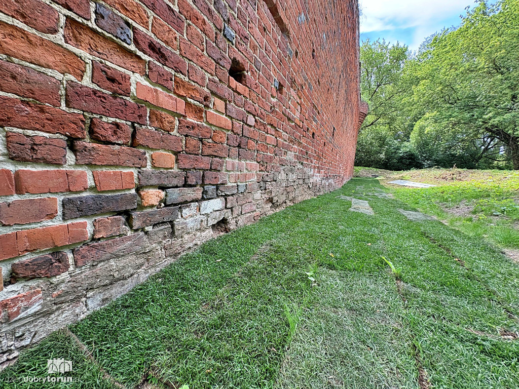 Trawa ze starówki na Zamku Dybowskim