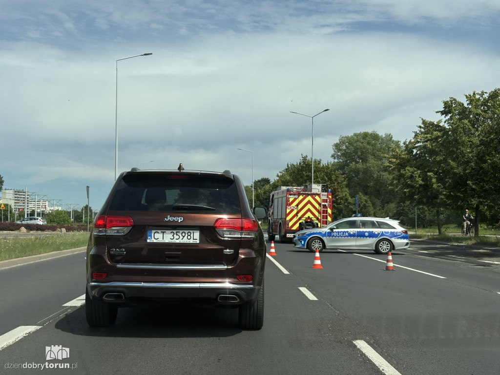 Na Szosie Lubickiej spłonął bus