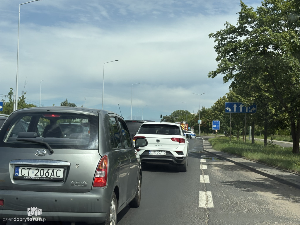 Na Szosie Lubickiej spłonął bus
