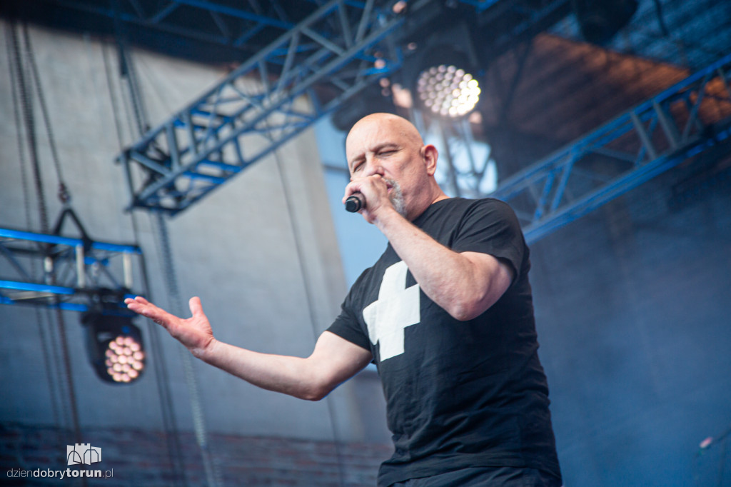 Koncert Toruńskie Gwiazdy 2026