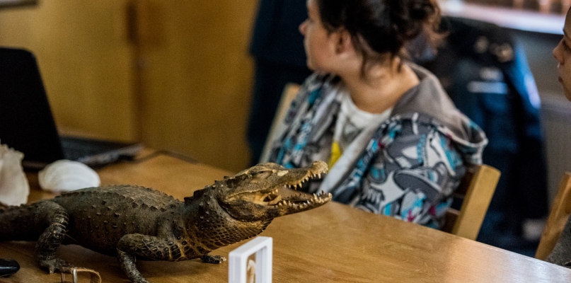 Gimnazjaliści zobaczyli, w jakich warunkach przemycane są zwierzęta fot. T. Berent