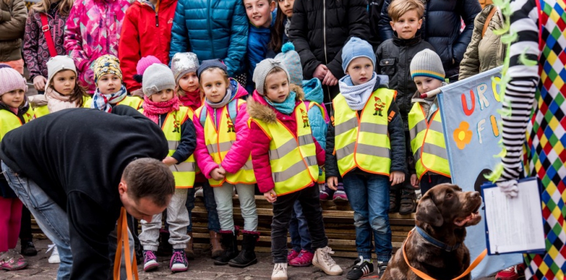 Najsłynniejszy pies świętował, a z nim zgraja przedszkolaków 