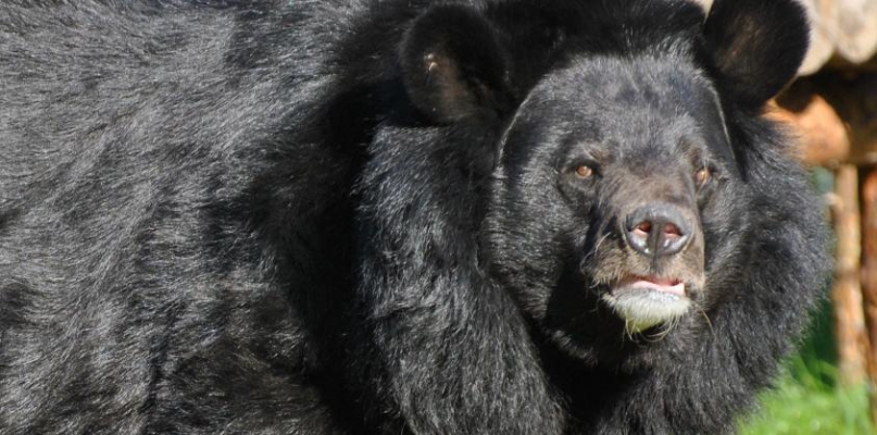 fot. mat. ogrodu zoobotanicznego