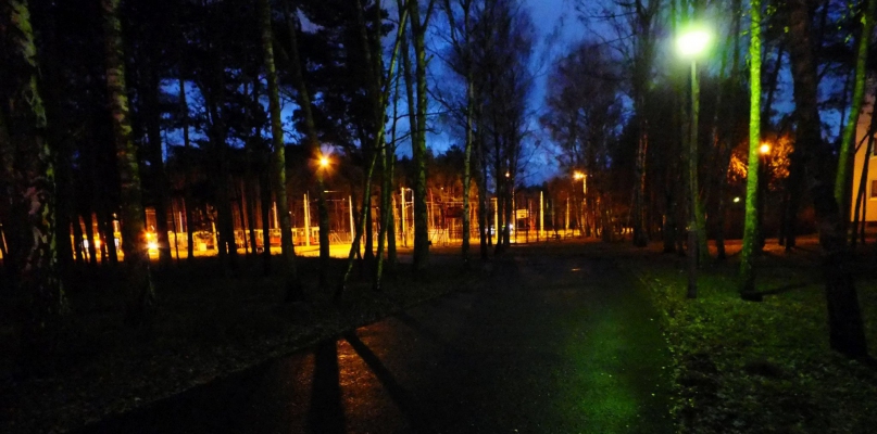 Tak prezentuje się dojście do pętli przy ul. Olimpijskiej od ul. Kusocińskiego   Fot. Niezależni Na Skarpie/Facebook