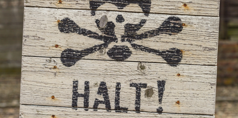 Połamane ręce, krew i mózgi na ścianach budynku... pod Toruniem! [drastyczne opisy