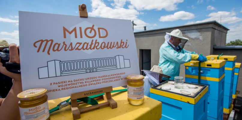 Pszczoły pracują, a marszałek zbiera tego owoce, fot. Tomasz Berent