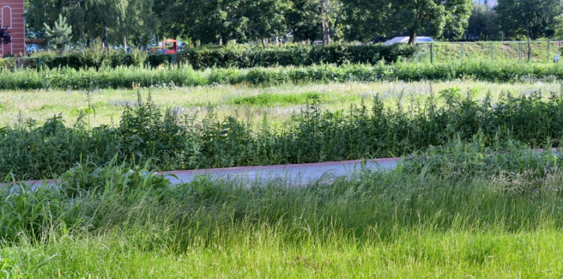 ?Czegoś takiego dawno nie widziałem w tym miejscu?
