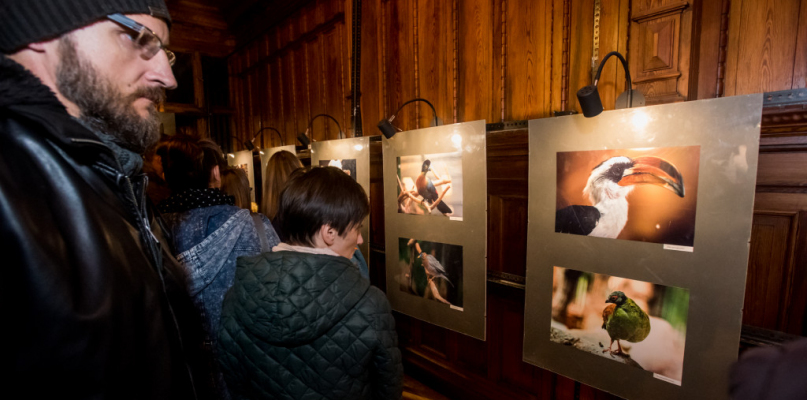 Wystawę można oglądać do końca listopada, fot. Tomasz Berent