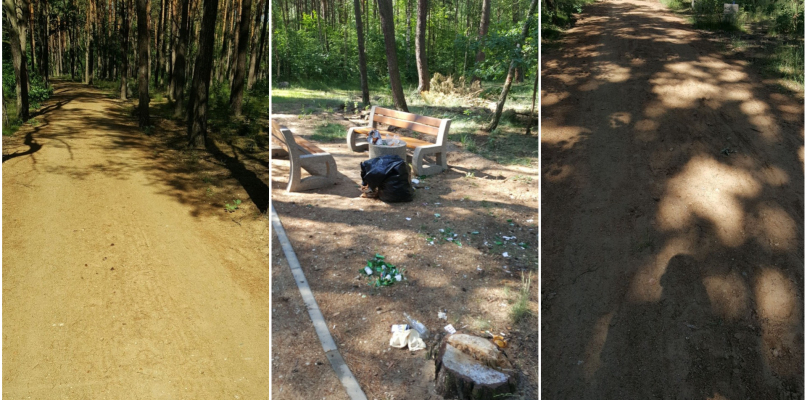 Fot. Nadesłane