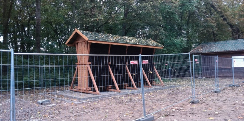 fot. Szkoła Leśna na Barbarce
