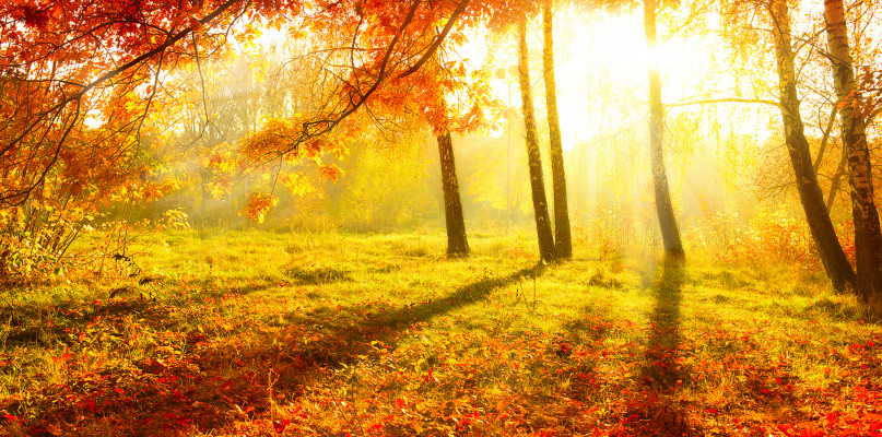 Fot. depositphotos