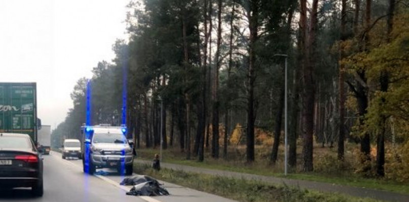 fot. nadesłane